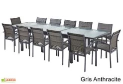 Salon De Jardin Modulo : Table Extensible + 12 Fauteuils -Pas Cher Salon Mobilier Magasin salon jardin modulo wilsa table extensible 12 fauteuils aluminium verre 2