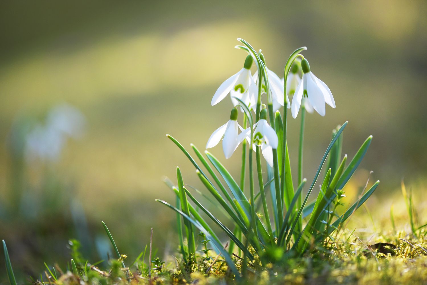 Pas Cher Salon Mobilier Magasin -Pas Cher Salon Mobilier Magasin ggggg 13